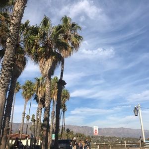 Meet your Posher, Brenda